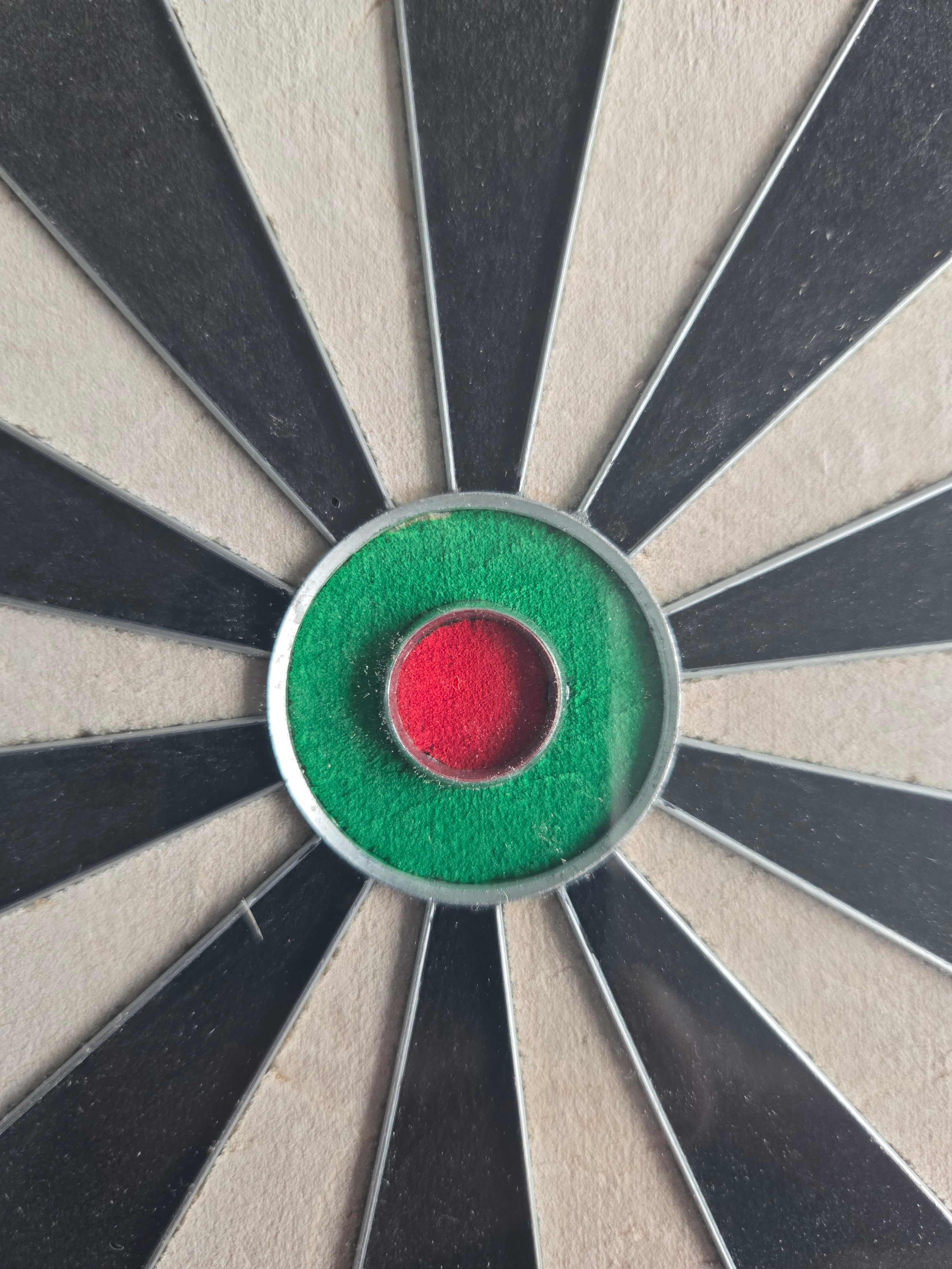 Designa Professional Dartboard