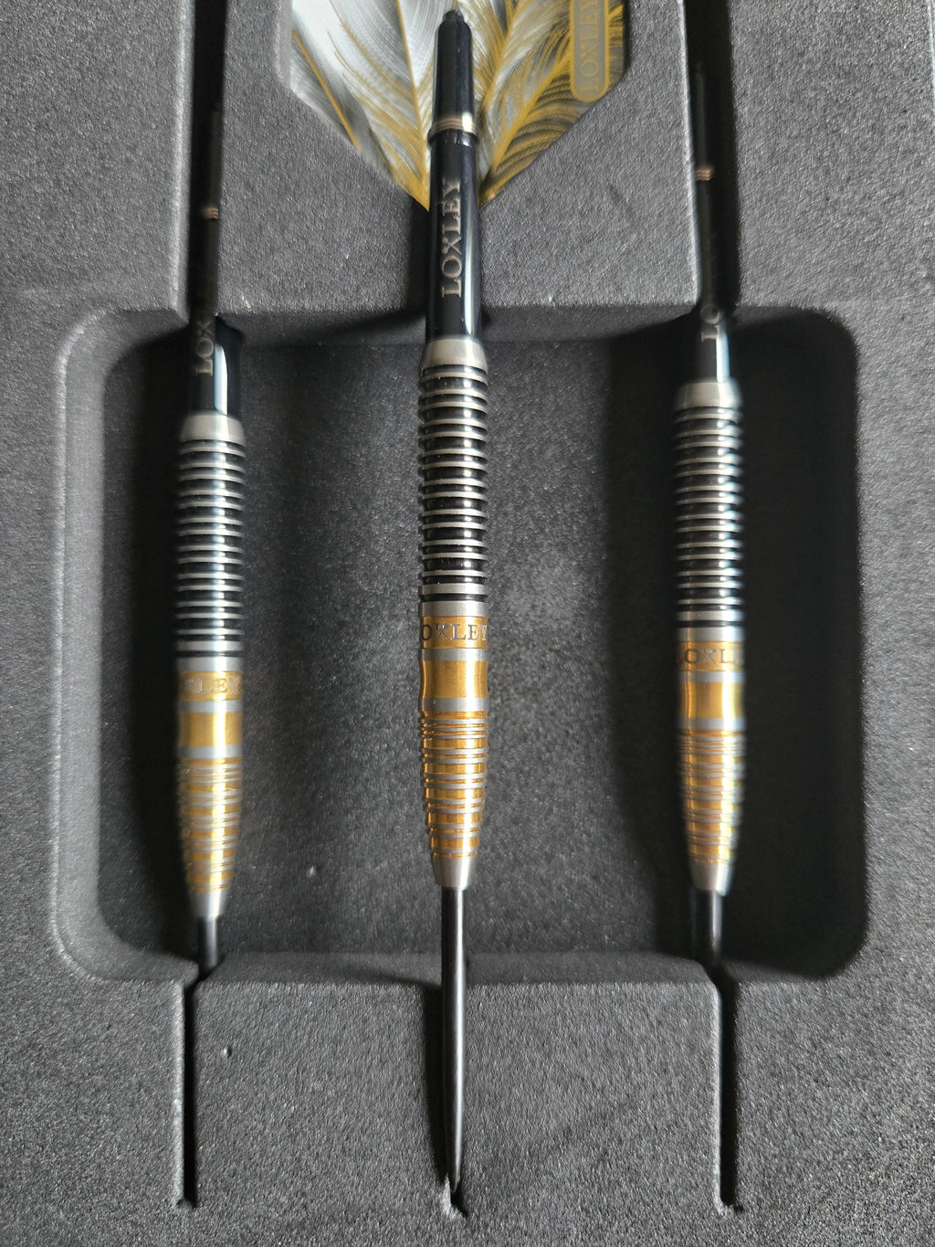 Loxley Notorious Darts