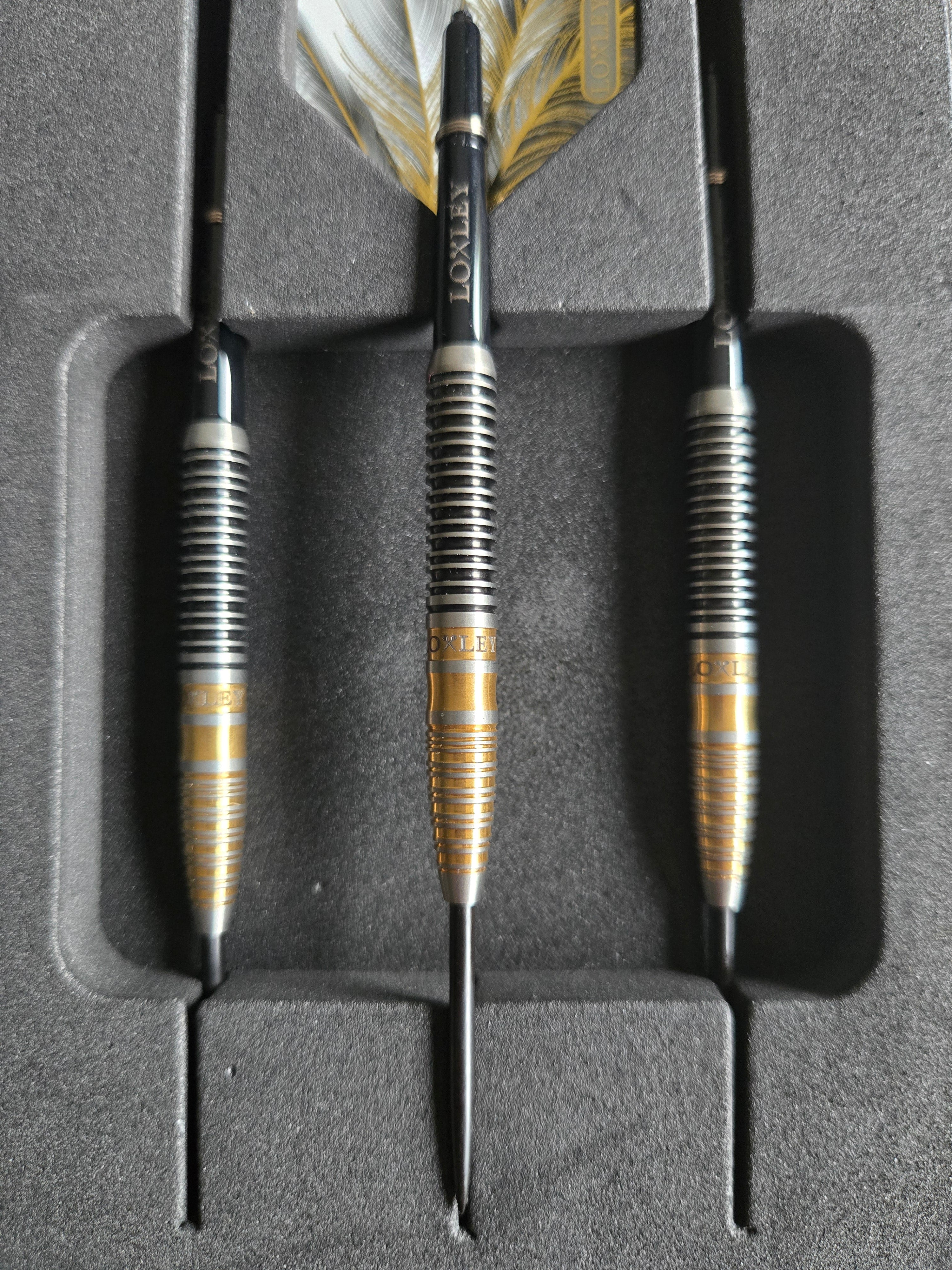 Loxley Notorious Darts